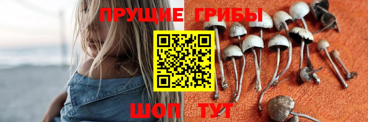 Галлюциногенные грибы мухоморы  Вход с VPN  Курган 