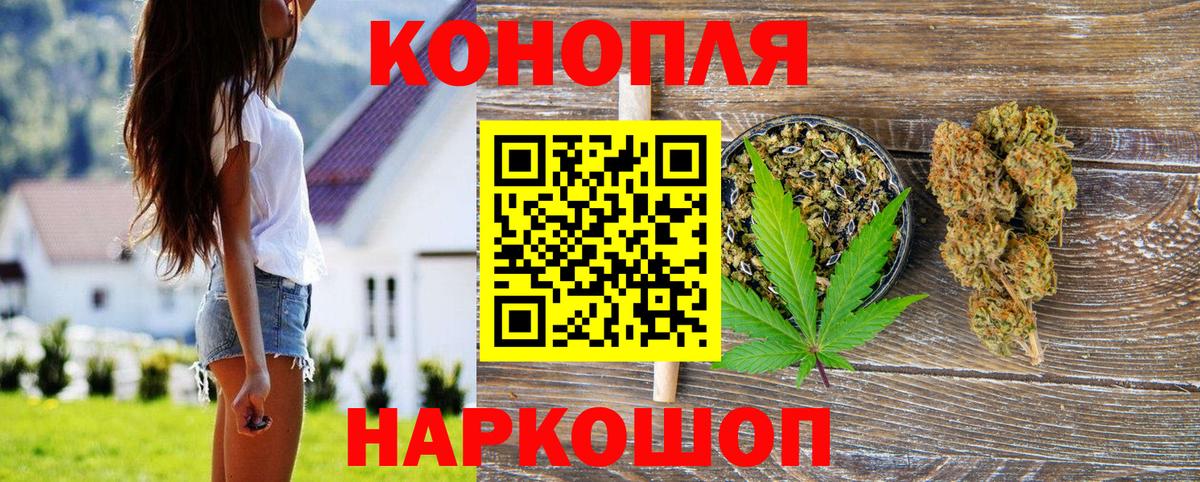 Бошки марихуана семена Курган